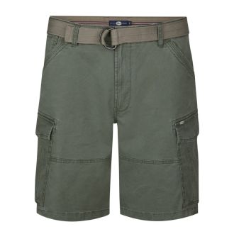 Petrol cargo shorts 1060-5360-Dusty olive