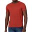 TZ T-shirt 10207-Ketchup red